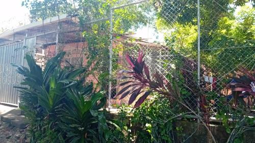 Granada House | Isi's Guest House