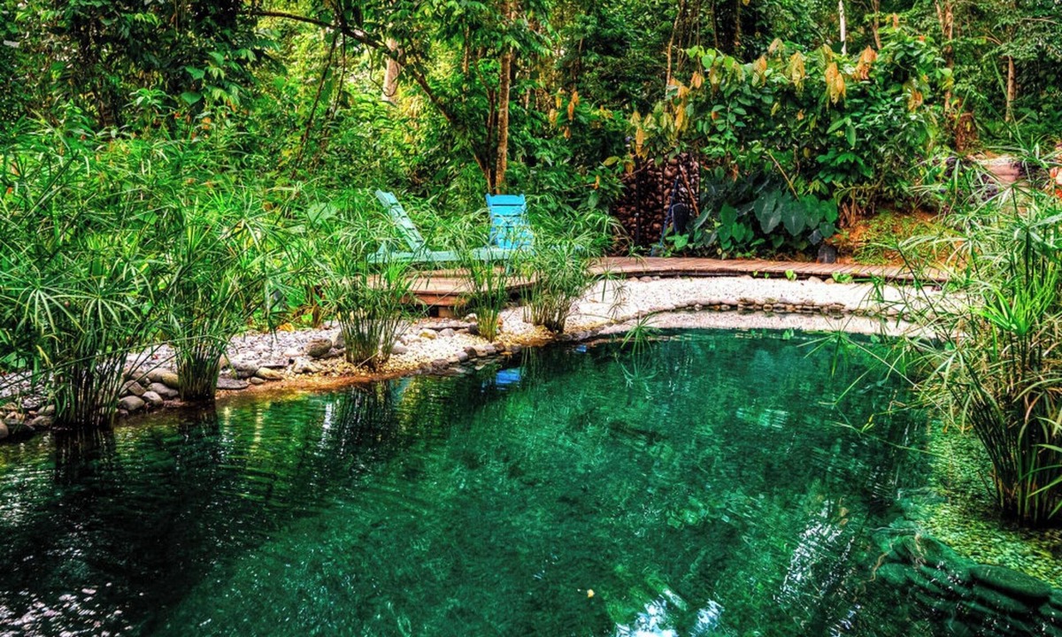 Cahuita Hotel | La Shamana Ecological, Concept in the Jungle