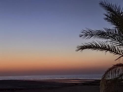 United Arab Emirates Villa | NatureLand Beach Villa