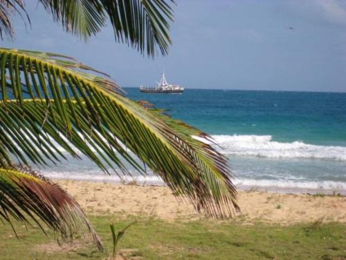 Corn Island Apartment | Nido de Cuervo