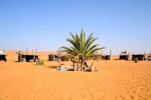 Bidiya Other | Nomadic Desert Camp