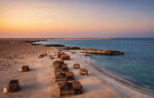 Al Qarin Other | Ocean Camp