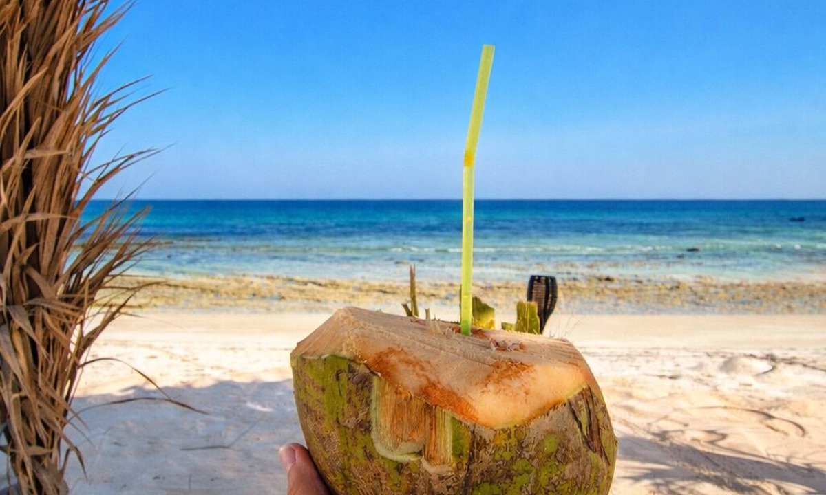 Ash Sharqiyah South Governorate Hotel | Ocean Camp