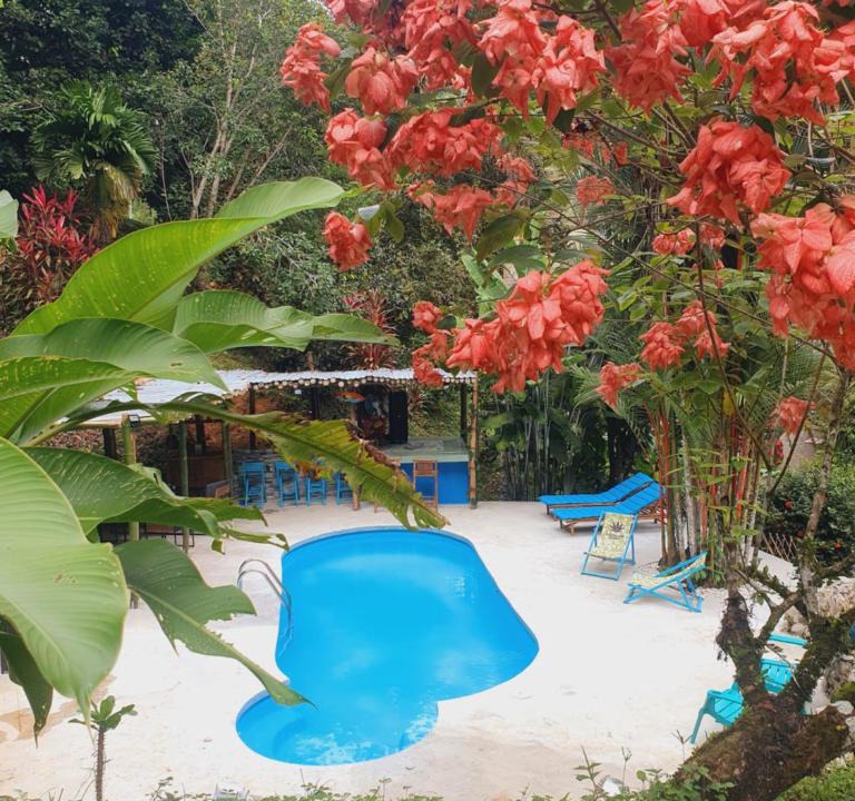 Cahuita Apartment | Plaza Tucanito - jungle up your life