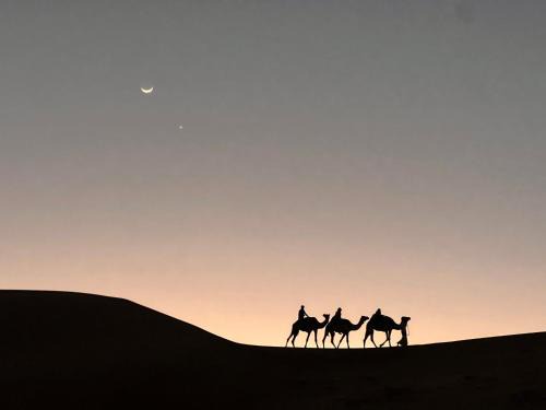 Bidiya Other | Private Bedouin Tent Al Badri