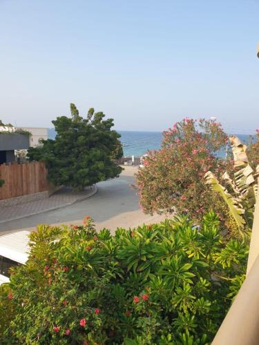Muscat House | Qantab Village Stay