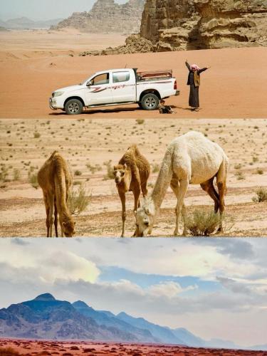 Wadi Rum Other | Raja Camp