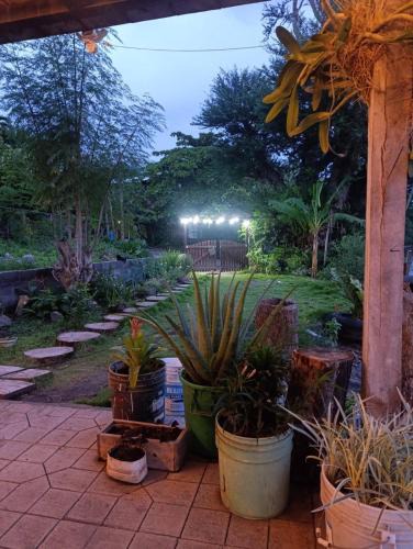 Ometepe Island Bed & Breakfast | Rancho Morgan
