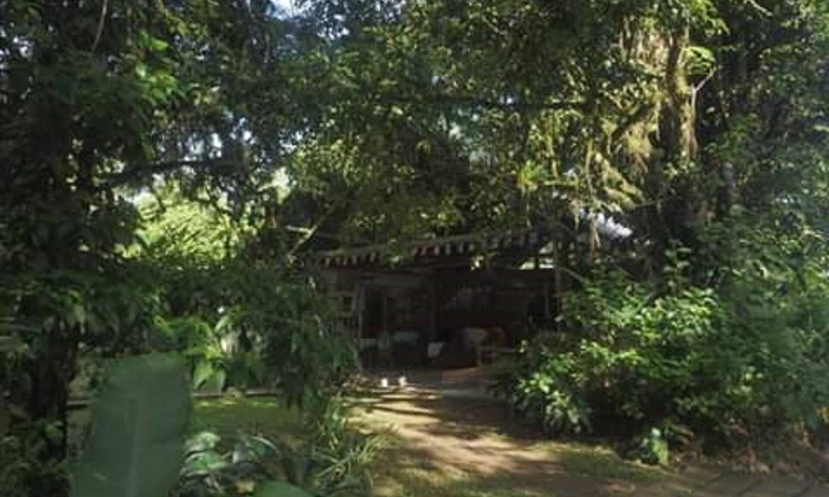 Rancho Quemado House | Rancho Verde de Osa