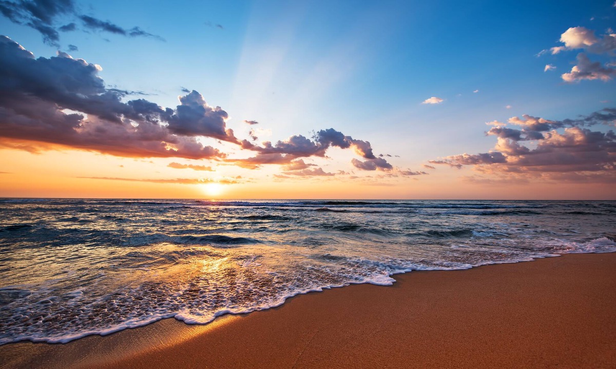 Al Hadd Hotel | Ras Al Jinz Turtle Reserve