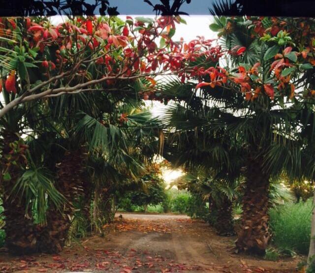 Khatt House | Revaloo farm (Family Only)