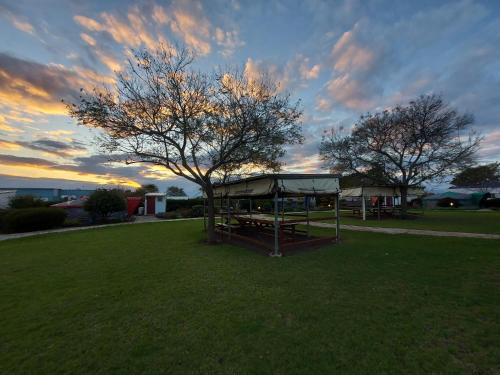Giv'at Yo'av Hostel | Sea of Galilee - Genghis Khan in The Golan