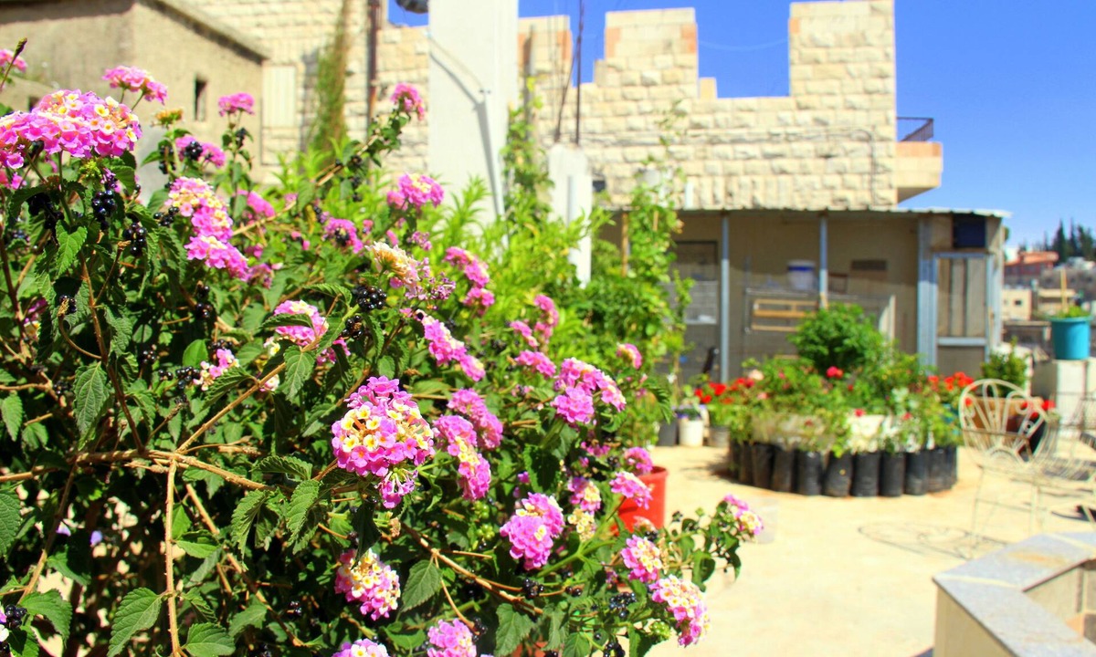 Jabal Al-Hussein Hotel | Shurooq Shams Hotel & Tours By Sunrise