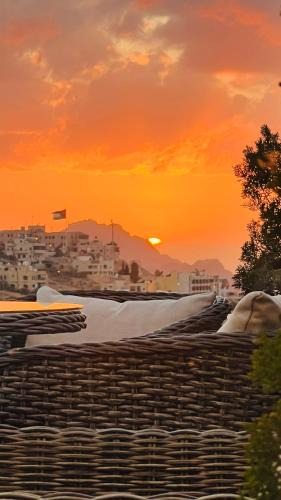 Wadi Musa Hotel | Tetra Tree Hotel 1