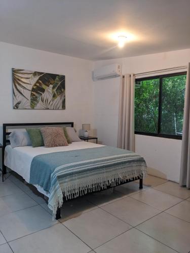 Coco Apartment | The Paradise Jungle Studio