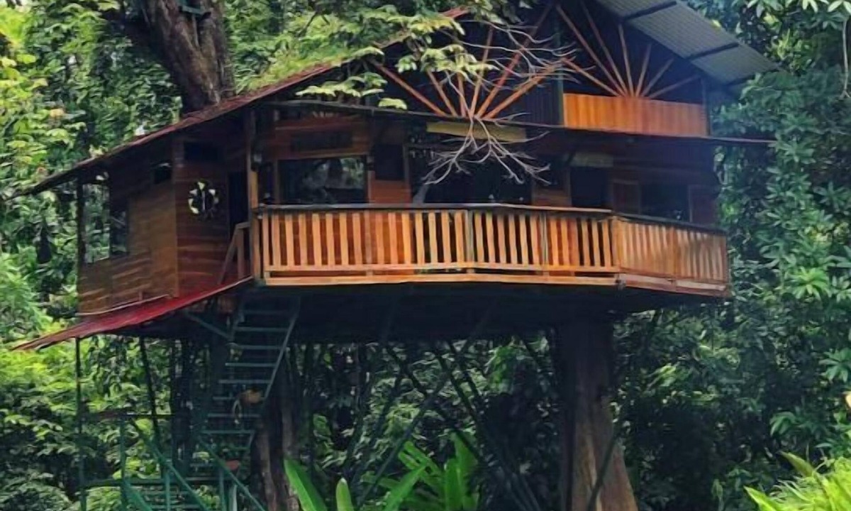 Jaco House | Treehouse with butterfly and exotic fruit farm