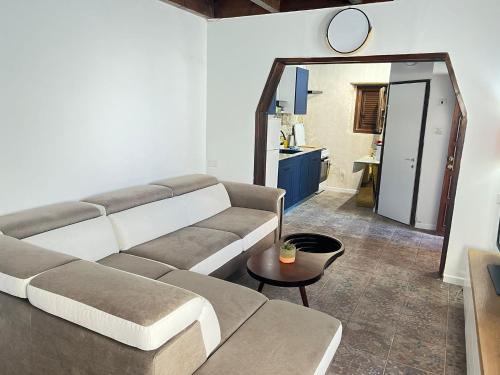 Haifa Apartment | Urban Green House