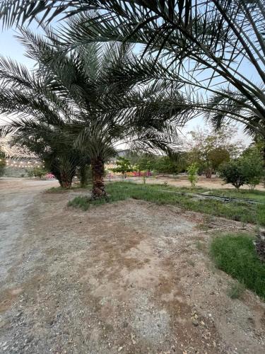 Hatta House | Wadi Alsidra