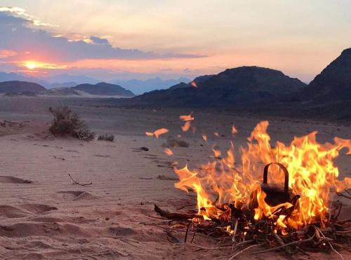 Wadi Rum Other | WADI RUM-Bedouin Tents and Jeep Tours