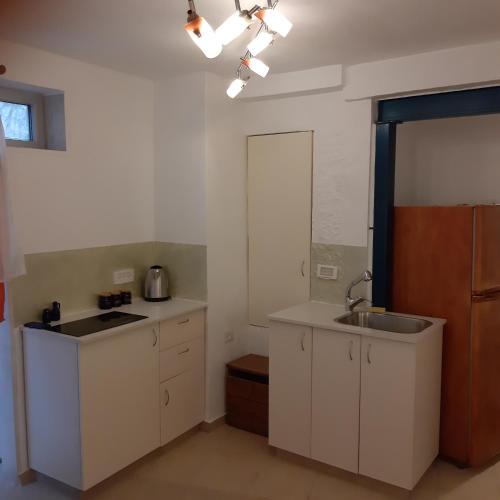 Malha Apartment | Wild Rose