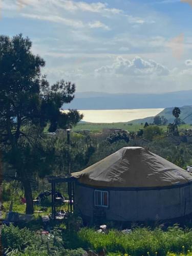 Qatsrin Other | Yurt