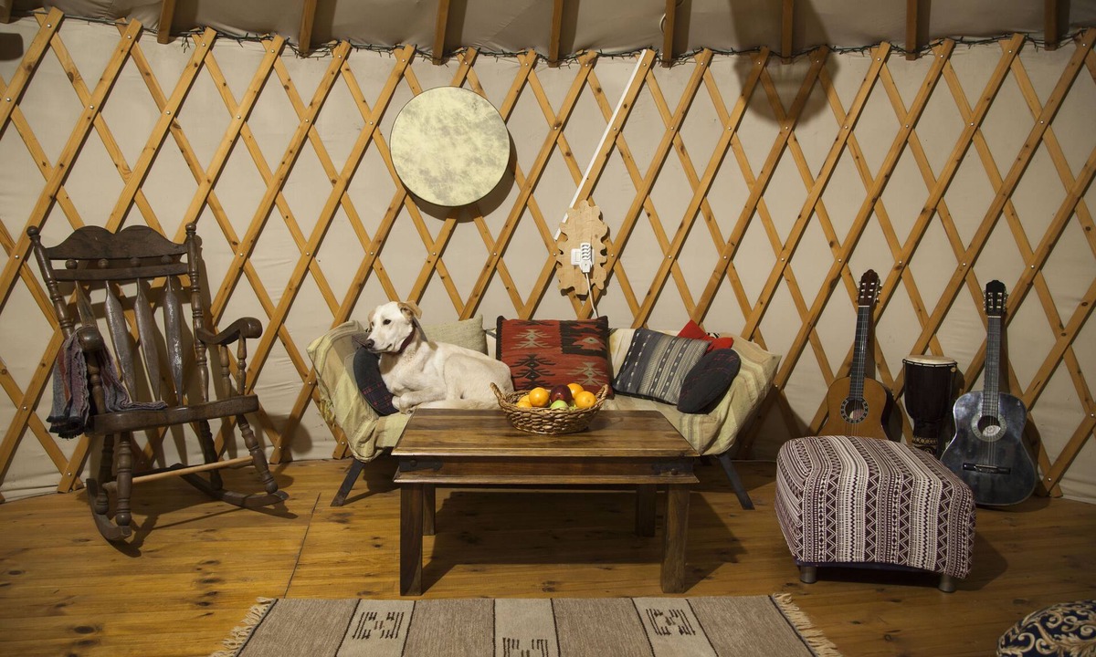 Amirim Ski Chalet | Yurt located in a little oak grove