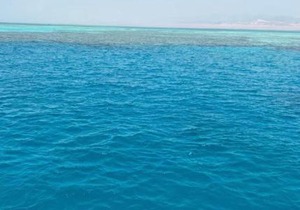 Apartments in Sharm El Sheikh, Egypt in Sharm El Sheikh