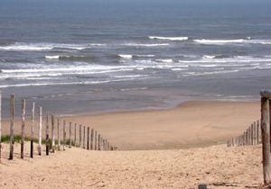 Cozy holiday home with a spacious garden, 1.2km from the sea in Noordwijk