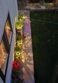 Kfar Vradim Apartment | אירוח בכפר ורדים גברת פלפלת
