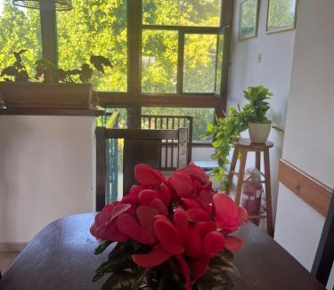 Qatsrin House | אירוח גאלה בגולן