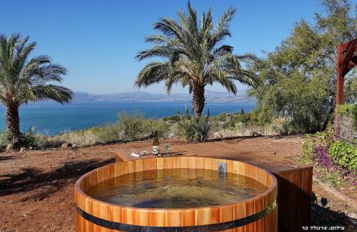 Ramot Cabin | בקתה בתמרים