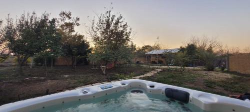 Eliad Ski Chalet | בקתת המפל