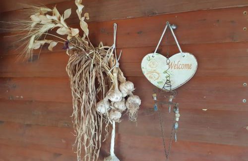 Manot Other | בקתת עץ בחורש במנות - דום גיאודזי - Wooden cabin in Manot