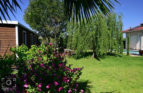 Qatsrin Apartment | בקתת שקד Shaked Cabin