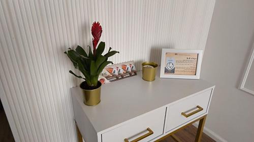 Yeruham Apartment | דירת אירוח בירוחם - הקומה השניה גרסת הפאנג שוואי