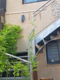 Neve Ilan Apartment | דרך עצי הזית - through the olive tree
