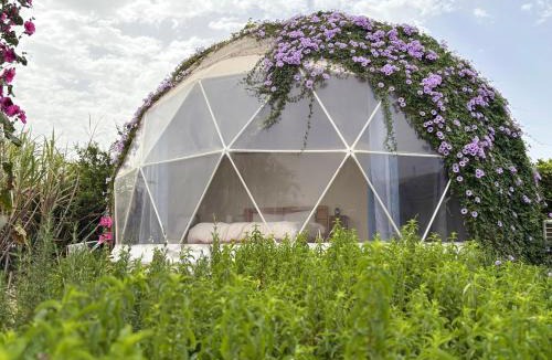 Yavne'el House | הבוסתן של הדס, הדום שבהר