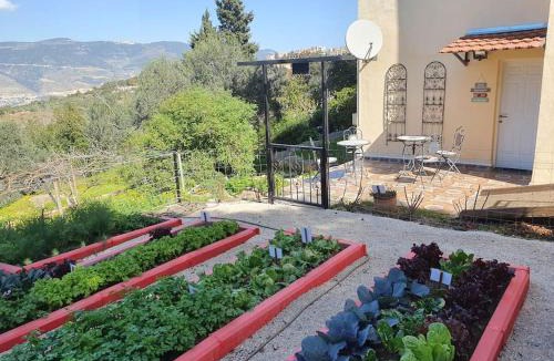 Michmanim Apartment | הבית ליד הבוסתן