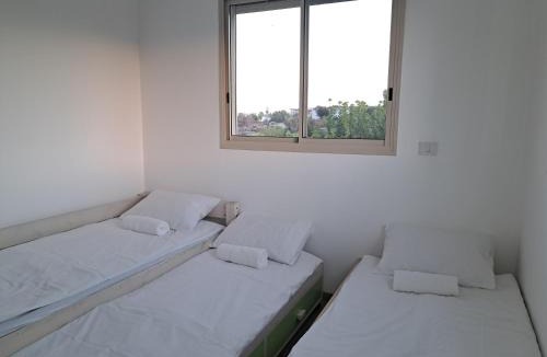 Ein Dor Apartment | וילה אקרופוליס Villa Acropolis
