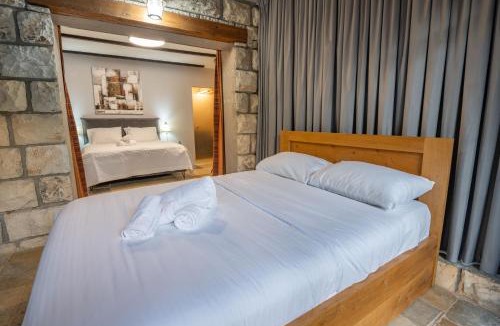 Rosh Pinna Apartment | וילה ואמוס - Villa vamos - וילה מדהימה עם בריכה פרטית וג'קוזי