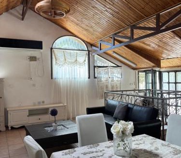 Safed Apartment | וילת הברבורים