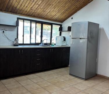 Safed Apartment | וילת הברבורים