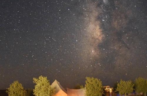 Mitzpe Ramon Other | חוות ארץ פרא wild land farm