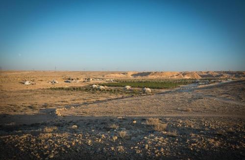 Mitzpe Ramon Other | חוות נועם במדבר - noam farm