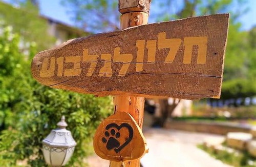 Beit Alfa Apartment | חלון לגלבוע צימר בוטיק בעמק המעיינות