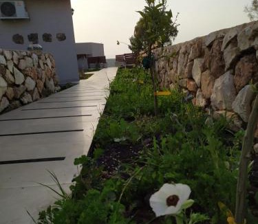 Gidona Apartment | נוריות בגלבוע 2