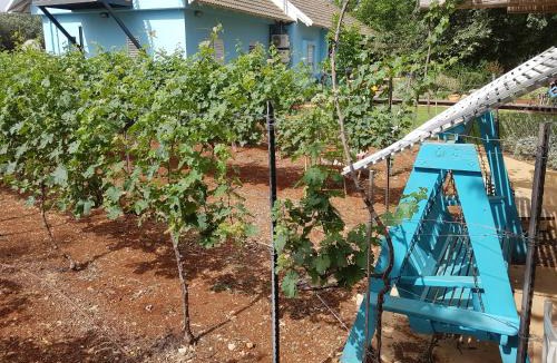 Ramot Naftali Cabin | נפגשים בחצר בין ההרים - -