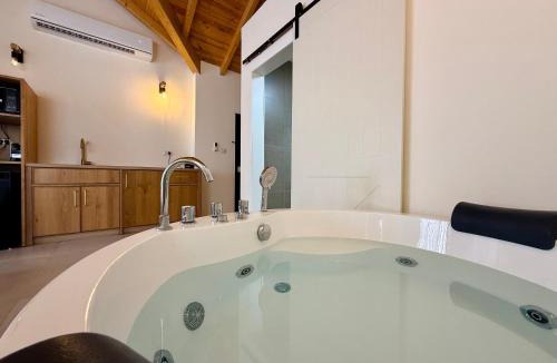 Rehov House | סוויטות אוצר המעיינות - 3 סוויטות מהממות עם בריכה וג'קוזי במושב רחוב