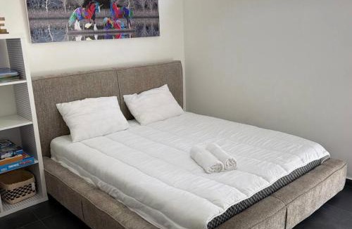 Shlomi Apartment | סויטת החורש