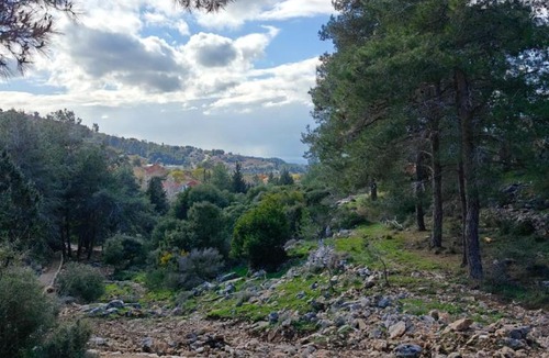 Kfar Vradim Apartment | צימס - דירת אירוח בגליל עם מרפסת